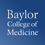 Baylor Logo No Tagline