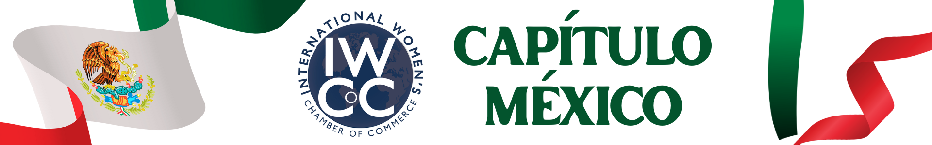 Copy of International Chapter Banners Website