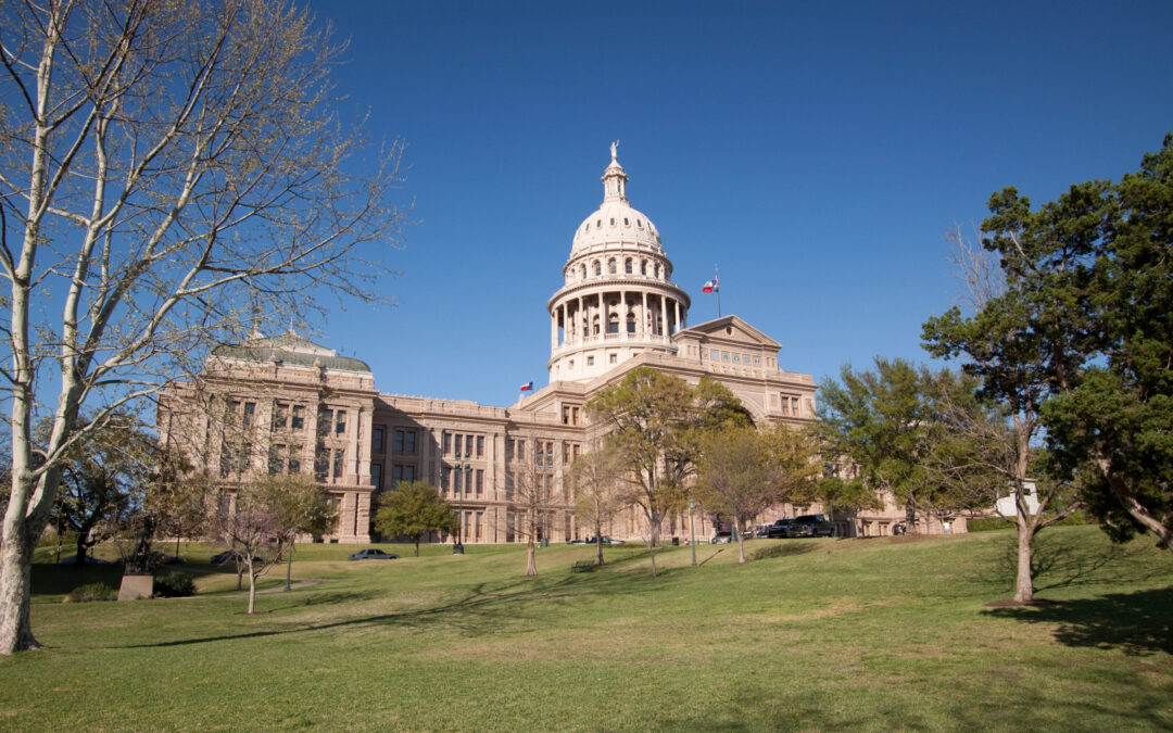 Everyone Needs a Lobbyist