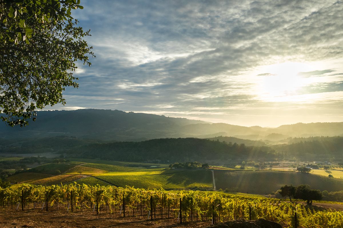 Cheers to that: Napa Valley at sunset.