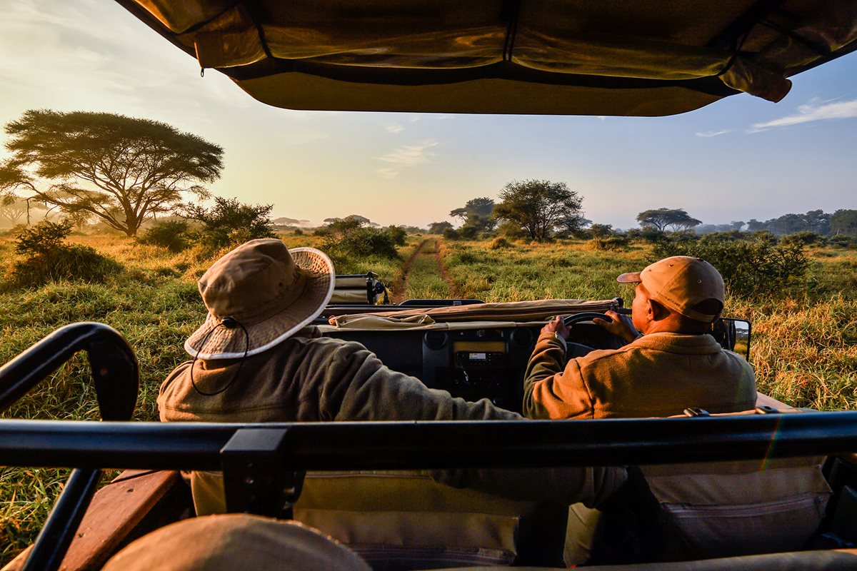 Wild times: Head out on an African safari – from home.