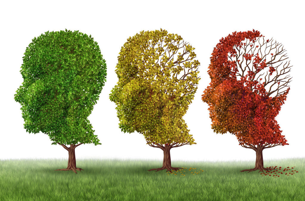 Improve Brain Health with “Anti-Alzheimer’s” Health Tips